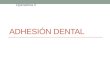 Adhesión dental
