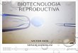 Biotecnologia reproductiva (trabajo)