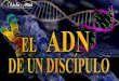 El ADN de un Discipulo