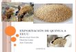 Proyecto de ultimas 8 semanas "Exportación de quinua ecuatoriana a eeuu "