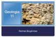 Geologia 11   rochas sedimentares  - biogénicos