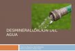 Desmineralización del Agua (Osmosis Inversa)