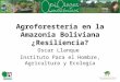 Agroforestería en la Amazonia Boliviana ¿Resiliencia? Oscar Llanque Instituto Para el Hombre, Agricultura y Ecología