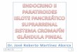 14/11/20131. Que el estudiante: Indicar la localización y morfología de la glándula paratiroides. Describir la estructura histológica de la glándula paratiroides