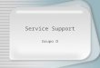 Service Support Grupo D. Service Support ¿Que es Service Support? Se orienta en asegurar que el Usuario tenga acceso a los Servicios apropiados para soportar