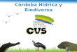 Córdoba Hídrica y Biodiversa 1. Inundación Corregimiento Cecilia