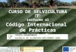 CURSO DE SELVICULTURA conforme al Código Internacional de Prácticas Suberícolas PROYECTOSUBERNOVA VALENCIA DE ALCÁNTARA-NOVIEMBRE-2005
