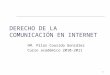 1 DERECHO DE LA COMUNICACIÓN EN INTERNET ©M. Pilar Cousido González Curso académico 2010-2011