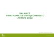 1 BALANCE PROGRAMA DE ENVEJECIMIENTO ACTIVO 2012