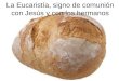La Eucaristía, signo de comunión con Jesús y con los hermanos