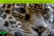 Instituto de Historia Natural. Organismo Público Descentralizado de Gobierno del Estado de Chiapas Administración de Proyectos: Gasto Corriente Inversión