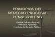 PRINCIPIOS DEL DERECHO PROCESAL PENAL CHILENO Paulina Delgado Barriga Profesora Ayudante Instituto de Derecho Público