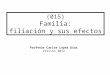 (015) Familia: filiación y sus efectos Profesor Carlos López Díaz Versión 2012