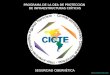 PROGRAMA DE LA OEA DE PROTECCIÓN DE INFRAESTRUCTURAS CRÍTICAS SEGURIDAD CIBERNÉTICA 