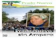 Prado Nuevo Octubre-Diciembre 2012 Nº 1  - info@pradonuevo.es Prado Nuevo sin Amparo