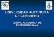 UNIVERSIDAD AUTONOMA DE GUERRERO UNIDAD ACADEMICA DE ENFERMERIA No.4
