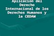Aplicación del Derecho Internacional de los Derechos Humanos y la CEDAW