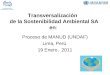 Transversalización de la Sostenibilidad Ambiental SA en: Proceso de MANUD (UNDAF) Lima, Perú 19 Enero, 2011