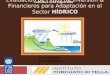 Evaluación de Flujos de Inversión & Financieros para Adaptación en el Sector HÍDRICO UNDP I&FF Methodology Guidebook: Adaptation Angel N. MENENDEZ Pablo