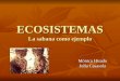 ECOSISTEMAS La sabana como ejemplo Mónica Hisado Julia Casasola