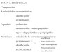 TEMA 3. PROTEÍNAS Composición Aminoácidos:características clasificación propiedades Péptidos:definición constitución: enlace peptídico tipos: oligopéptidos