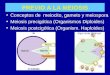 PREVIO A LA MEIOSIS Conceptos de meiocito, gameto y meiospora Meiosis precigótica (Organismos Diploides) Meiosis postcigótica (Organism. Haploides) Alga