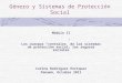 Género y Sistemas de Protección Social Módulo II Los cuerpos centrales de los sistemas de protección social: los seguros sociales Corina Rodríguez Enríquez