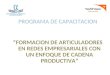 PROGRAMA DE CAPACITACION FORMACION DE ARTICULADORES EN REDES EMPRESARIALES CON UN ENFOQUE DE CADENA PRODUCTIVA