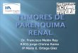 Dr. Francisco Melón Rey R3CG Jorge Chirino Romo IP Mario E. Ortega Glez