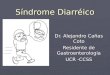 Síndrome Diarréico Dr. Alejandro Cañas Coto Residente de Gastroenterología UCR -CCSS