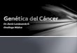 Dr. Denis Landaverde R. Oncólogo Médico. Células tumorales e inicio del cáncer Bases genéticas del cáncer Mutaciones en protooncogenes Mutaciones en genes