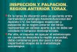 INSPECCION Y PALPACION REGION ANTERIOR TORAX En la tarea de discernir ante un paciente entre normalidad y patología Anatomofuncional del Aparato C-V, los