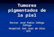 Tumores pigmentados de la piel Doctor José Pablo Zúñiga Zúñiga Hospital San Juan de Dios - UCR