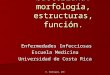 E. Rodríguez, UCR La célula bacteriana: morfología, estructuras, función. Enfermedades Infecciosas Enfermedades Infecciosas Escuela Medicina Universidad