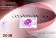 Leishmaniosis Jorge V. Vargas Carmiol Facultad de Medicina Escuela de Medicina