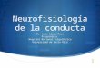 Neurofisiología de la conducta Dr. Luis López Mora Psiquiatría Hospital Nacional Psiquiátrico Universidad de Costa Rica