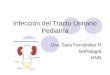 Infección del Tracto Urinario Pediatría Dra. Sara Fernández R Nefrología HNN