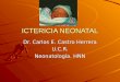 ICTERICIA NEONATAL Dr. Carlos E. Castro Herrera U.C.R. Neonatología. HNN
