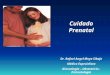 Cuidado Prenatal Dr. Rafael Angel Moya Sibaja Médico Especialista Ginecología – Obstetricia - Perinatología