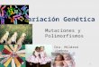 1 Variación Genética Mutaciones y Polimorfismos Dra. Mildred Jiménez