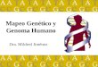 Dra. Mildred Jiménez Mapeo Genético y Genoma Humano