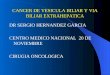 CANCER DE VESICULA BILIAR Y VIA BILIAR EXTRAHEPATICA DR SERGIO HERNANDEZ GARCIA CENTRO MEDICO NACIONAL 20 DE NOVIEMBRE CIRUGIA ONCOLOGICA