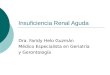 Insuficiencia Renal Aguda Dra. Faridy Helo Guzmán Médico Especialista en Geriatría y Gerontología