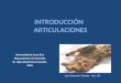 INTRODUCCIÓN ARTICULACIONES Universidad de Costa Rica Departamento de Anatomía Dr. Allan David Mora Cascante -2010- Lab. Disección Articular -Nov, 08-