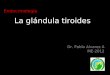 La glándula tiroides Dr. Pablo Alvarez A ME-2012 Endocrinología