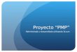 Proyecto PMP Administrado y desarrollado utilizando Scrum