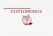 CISTICERCOSIS. INTRODUCCION Cisticercosis, comúnmente conocida como " triquina" es un problema de especial interés en salud pública por la gravedad y