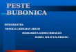 PESTE BUBONICA INTEGRANTES: MONICA CHINCHAY ARCOS MARGARITA GOMEZ HIDALGO ISABEL SOLIS VALERIANO