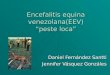 Encefalitis equina venezolana(EEV) peste loca Daniel Fernández Santti Jennifer Vásquez Gonzáles