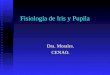 Fisiología de Iris y Pupila Dra. Morales. CENAO